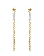 Σκουλαρίκια από ασήμι 925 με Swarovski πέτρες